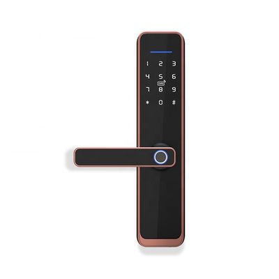 Electric Tuya APP Smart Wifi Door Lock قفل دیجیتال بیومتریک اثر انگشتی درب